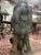 1920s Unknown, Pair of Bronze Lions, 1928, Bronze For Sale - Image 5 of 8