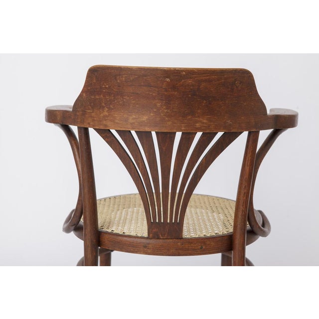 Brown Vintage Bentwood Chair by Fischel, 1940s For Sale - Image 8 of 10