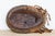 Original Ceremonial African Cowrie Mask For Sale In Los Angeles - Image 6 of 6