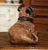 Mid-Century French Terracotta Pug Dog Sculpture With Glass Eyes For Sale - Image 9 of 12
