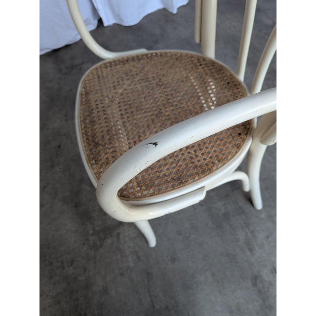 Vintage Dining Chair in White Beech and Bentwood Cane Seat, 1970s For Sale - Image 9 of 18