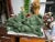 JADE HORSES SCULPTURE 50" IN. LARGE JADE 8 HORSES STATUE 22k+ S/H This horse is made from one piece solid jade. It appears...