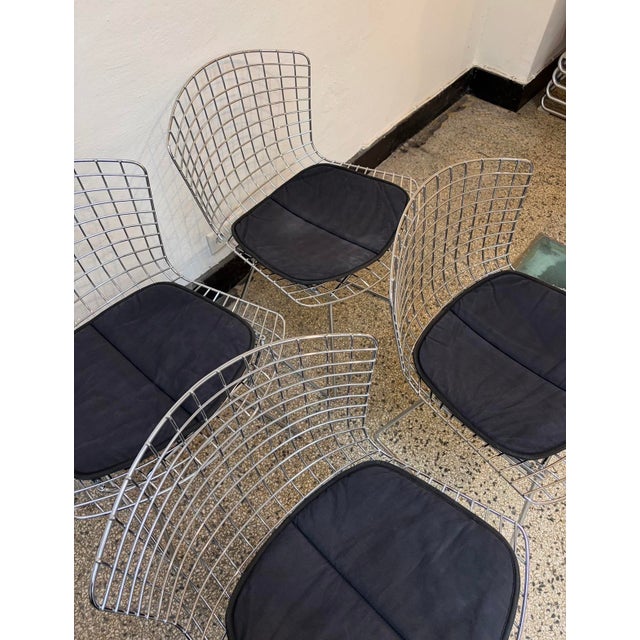 Chrome-Plated Side Chairs by Harry Bertoia for Knoll, 1970s, Set of 4 For Sale - Image 6 of 18