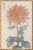 Pink Flower by Hasegawa, Vintage Japanese Botanical Art Print, 24" X 36" For Sale In Buffalo - Image 6 of 10