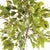 100% realistic a perfect copy of the Ficus tree. This dropin is a nomaintenance work of art. Complete with a standard...