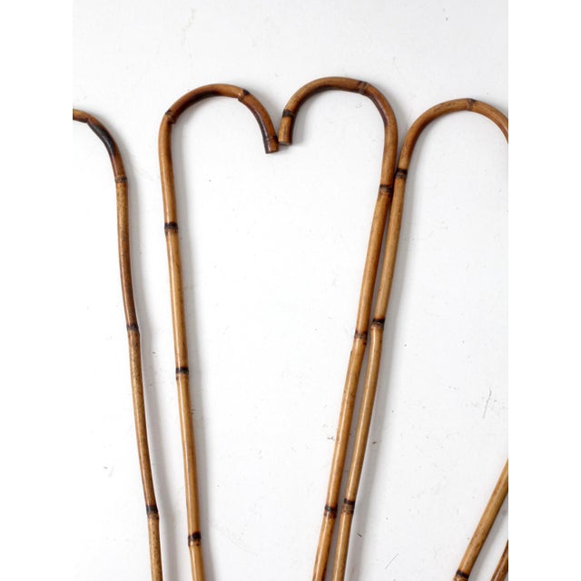Antique Bamboo Walking Canes Collection For Sale - Image 9 of 14