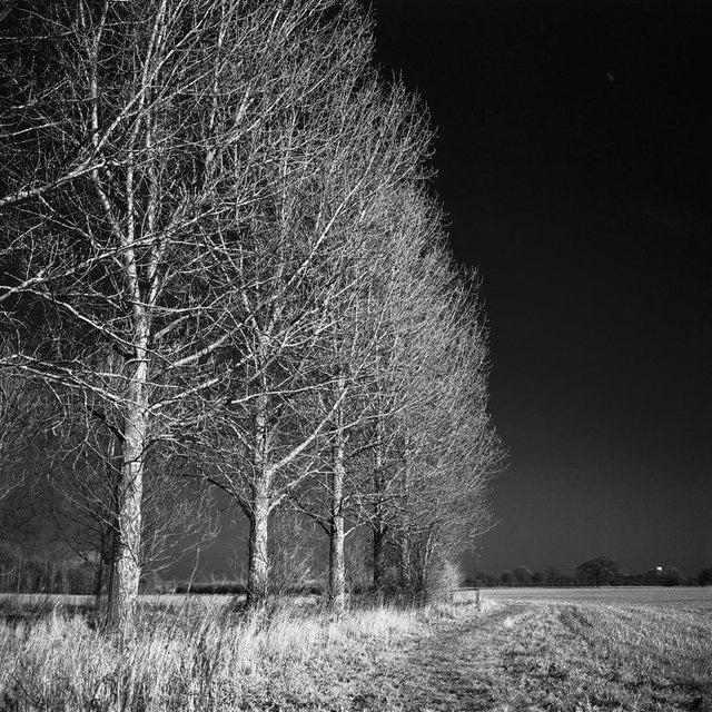 Not Yet Made - Made To Order Paul Cooklin, West Thorpe I, Giclee Print, Edition of 50 For Sale - Image 5 of 5