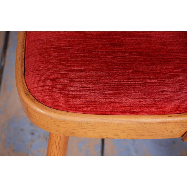 Mid-Century Beech Chairs by O. Haerdtl, Czech, 1950s, Set of 4 For Sale - Image 14 of 18