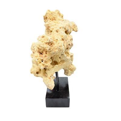 Natural coral stone from Indonesia with a sandy hue, displayed on a handcrafted teak stand. Its organic texture and warm...