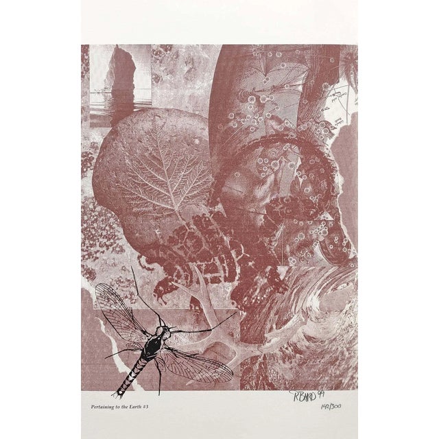 "Pertaining to the Earth #3" Contemporary Abstract Numbered Lithograph by Rebecca Baird For Sale