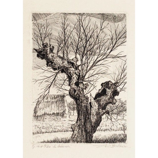 André Roland Brudieux - The Oak - Etching - 1960s For Sale