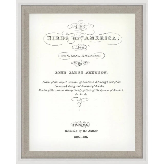 Audubon Birds are from the classic series “Birds of America” - one of the finest ornithological books of our time. Printed...