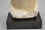 Stone Late 20th Century Morton Gaffin Female Nude Bust Modernist Carved Peach Alabaster Sculpture For Sale - Image 7 of 12
