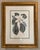 English Gold Framed Magnolia Prints, a Pair For Sale - Image 3 of 10
