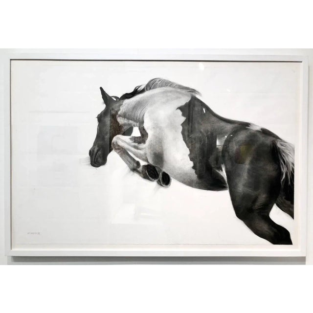 Patsy McArthur, the Great Escape, Charcoal on Paper, White Box Frame, 2018 For Sale - Image 6 of 6