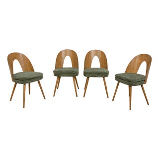 Mid-Century Modern Ash Veneer Dining Chairs by Antonín Šuman for Mier Topoľčany, Czechoslovakia, 1960s, Set of 4 For Sale