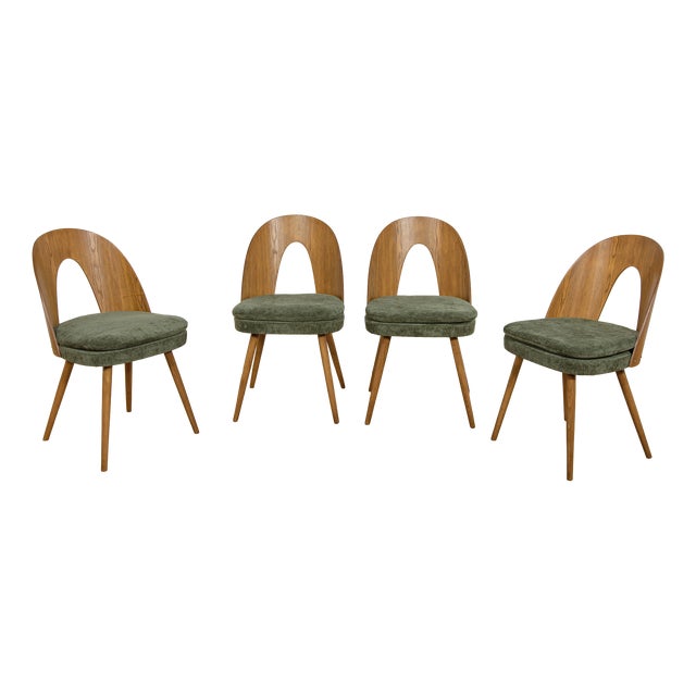 Mid-Century Modern Ash Veneer Dining Chairs by Antonín Šuman for Mier Topoľčany, Czechoslovakia, 1960s, Set of 4 For Sale