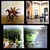 1995 Coffee Table Book, "Argentina: The Great Estancias", Bonifacio Del Carril, Cesar Aira, Tomas De Elia and Juan Pablo Queiroz For Sale - Image 12 of 15
