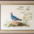 A lovely Audubon-style framed bird print of the Blue Crowned Pigeon, featuring beautiful coloration and a subtle baby blue...