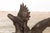 Vintage Greco Roman Style Bronze Sculpture of a Chubby Putto Riding a Swan For Sale - Image 4 of 8