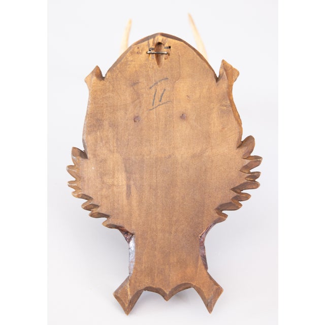 Black Forest Roe Deer Antlers Hunting Trophy 1950 Mount For Sale In Houston - Image 6 of 7