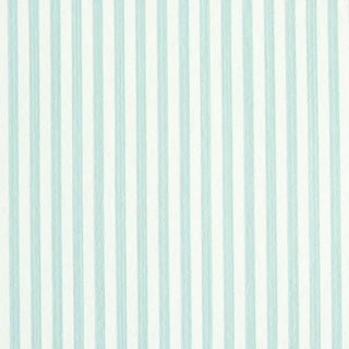 Sample - Schumacher Edwin Stripe Narrow Wallpaper in Mineral For Sale