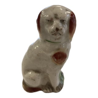Lonely Staffordshire Terrier For Sale