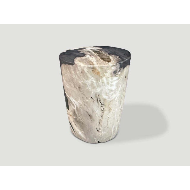 Andrianna Shamaris Modern Organic Petrified Wood Side Table For Sale - Image 4 of 5