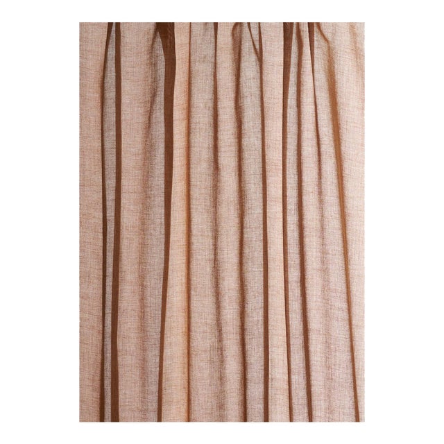 SAMPLE - Schumacher Summit Sheer Fabric In Clay For Sale