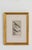 Victorian 19th Century Set of Framed Avian / Bird Engravings For Sale - Image 3 of 11