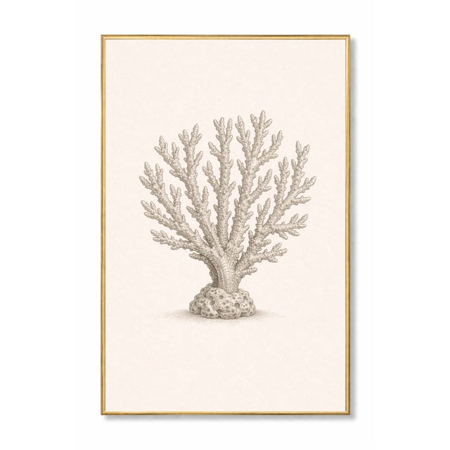 Contemporary Coastal Sea Life Study Collection, Minimal Botanical & Shell Art Prints, 24" × 36" (Set of 3) For Sale - Image 3 of 10