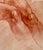 Late 20th Century Classical Figurative Drawing of Male Torso by Renowned UK-based Artist Brian Gorst For Sale - Image 5 of 8