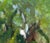 In "After the Rain," vibrant blooms emerge from a lush, green backdrop, their petals glistening with moisture. The loose...
