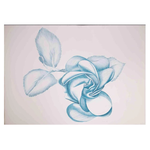 Giacomo Porzano, Blue Rose, Original Etching, 1970s For Sale