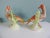 Orange Orange and Green Chelsea House Inc Ceramic Birds - Set of 2 For Sale - Image 8 of 10