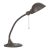 Early 20th Century Art Deco Industrial Gooseneck Office Desk Lamp For Sale