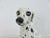 1970s Very Large Ceramic Dalmatian, Italy, 1970s For Sale - Image 5 of 14