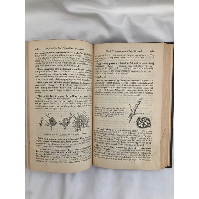 Navy Blue 1947. 10,000 Garden Questions For Sale - Image 8 of 8