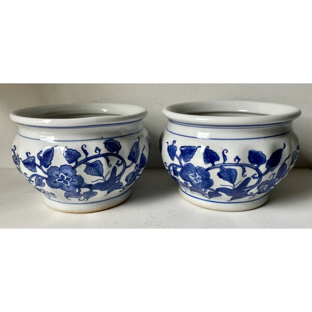 This lovely matched pair of classic Blue on White porcelain cachepots are perfect for a pair of single orchids. Nice to...