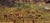 Textile Alexis Matthew Podchernikoff "Picnic by the Pond" Santa Barbara Sunset - Monumental 1920s Oil Painting For Sale - Image 7 of 13