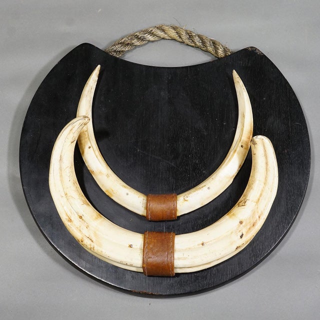 Rustic European Large Wild Boar Trophy on Wooden Plaque, Germany 1950s For Sale - Image 3 of 6