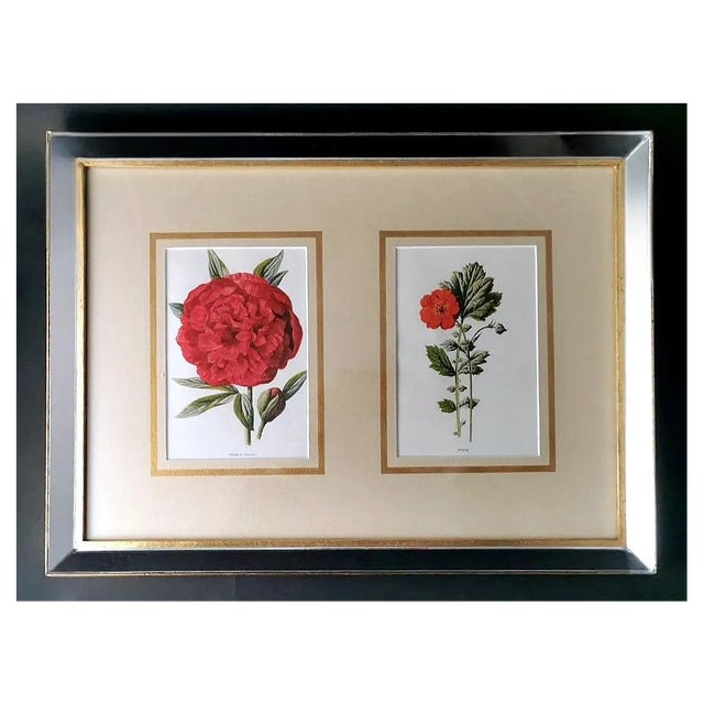 English Artist, Flowers, Chromolithographic Print Diptych, 1900, Framed For Sale