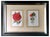 English Artist, Flowers, Chromolithographic Print Diptych, 1900, Framed For Sale