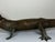 Bronze French Early 20th Century Bronze Crocodile Fountain Head Garden Outdoor Sculpture After Antoine-Louis Barye For Sale - Image 8 of 18