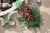 Contemporary Fratelli Barbini - Green Venetian Mirror For Sale - Image 3 of 7