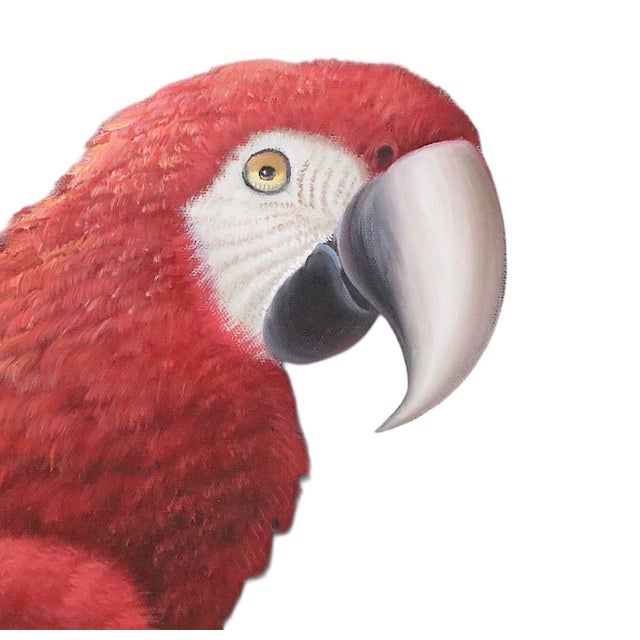 Large Vintage Painting on Canvas Depicting Two Macaws in Lush Tropical Setting C 1970/80's For Sale - Image 4 of 12