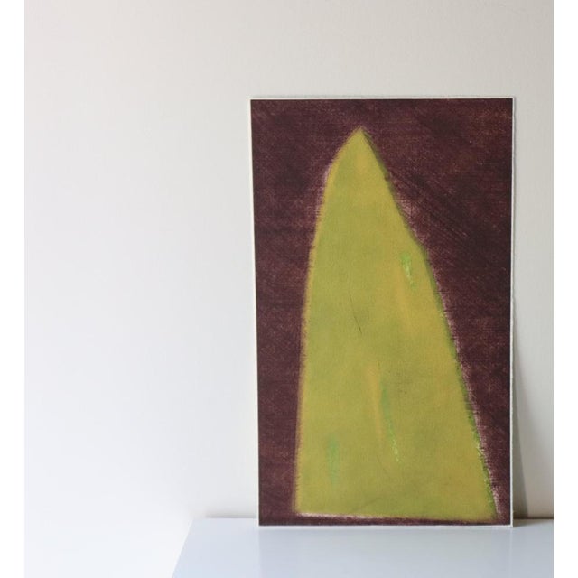 Artist antonia dombrowsky color etching - budget 3/5 2000 dimension print height 50 cm / 19.68 inches width 30 cm / 11.81...