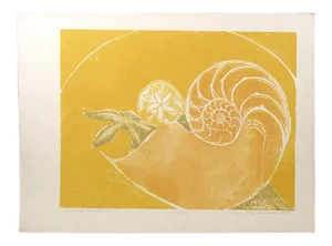 1979 "Chambered Nautilus" Etching by Lin Carte Anderson