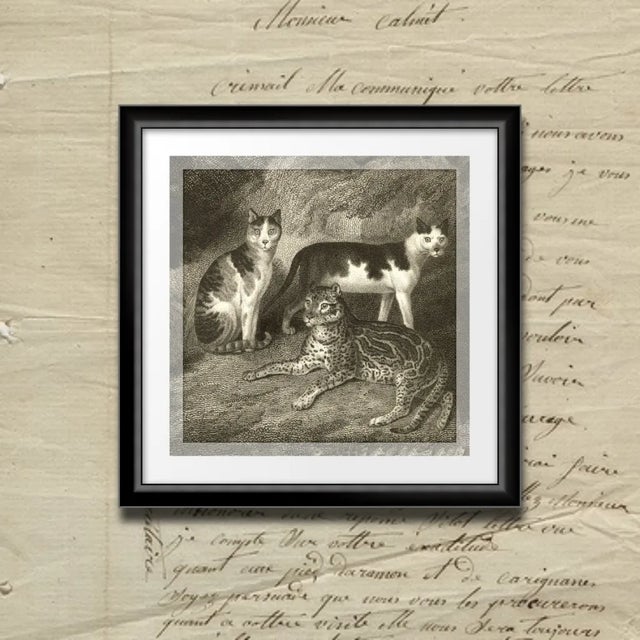 This is a beautiful museum-quality print of an original British bookplate from the early 1800s. It has been digitally...