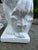 Vintage French White Painted Concrete Lions - A Pair For Sale - Image 13 of 15